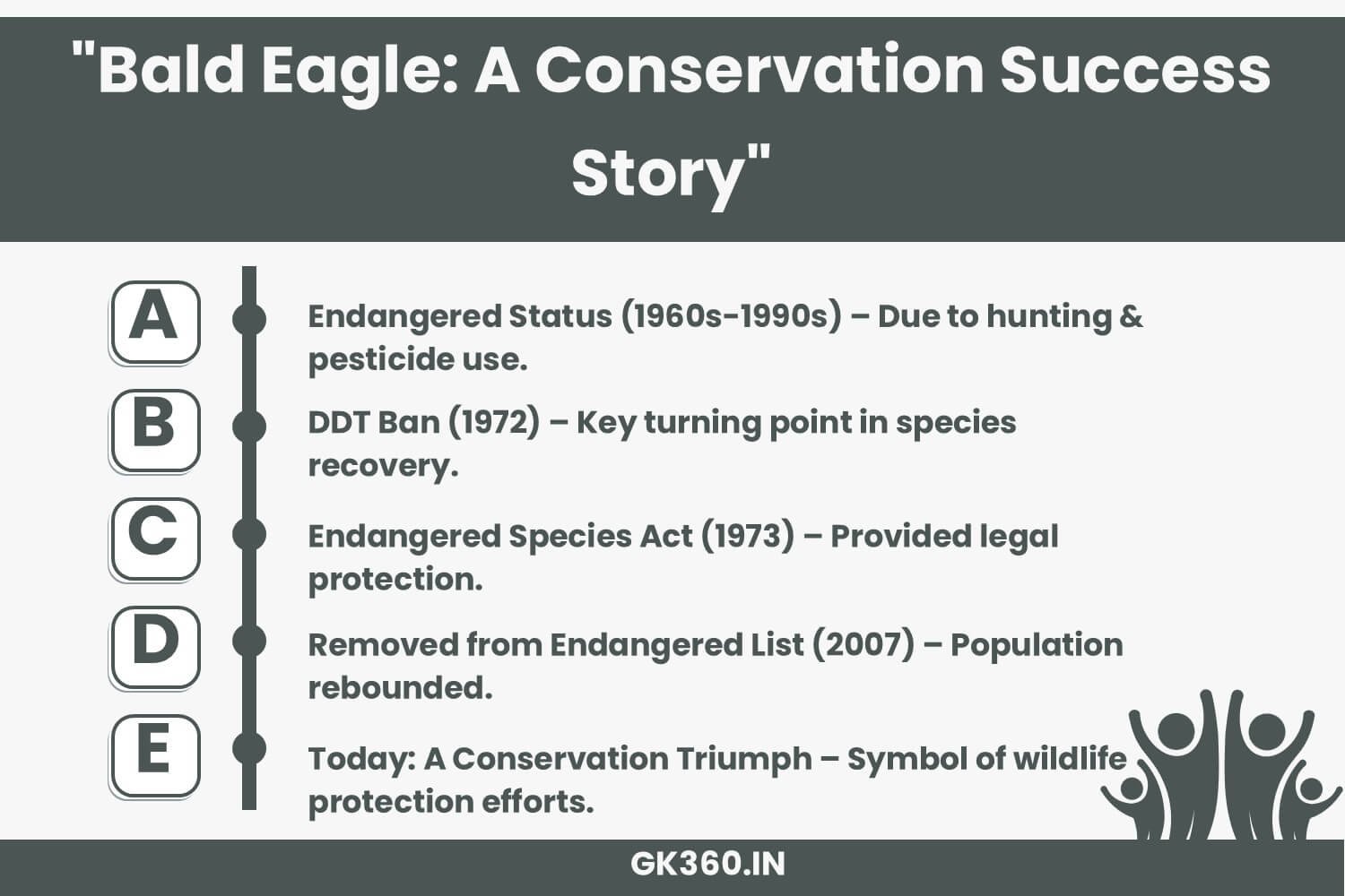 The bald eagle’s journey from endangerment to recovery as a conservation success story.