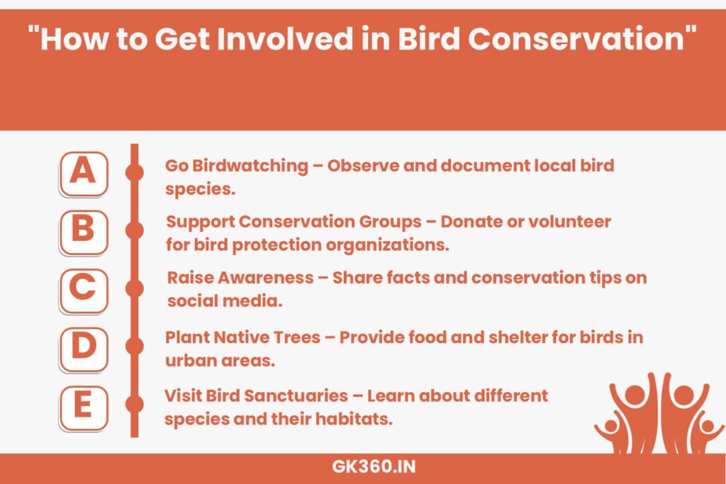 Infographic listing ways to celebrate National Bird Day and help bird conservation efforts.