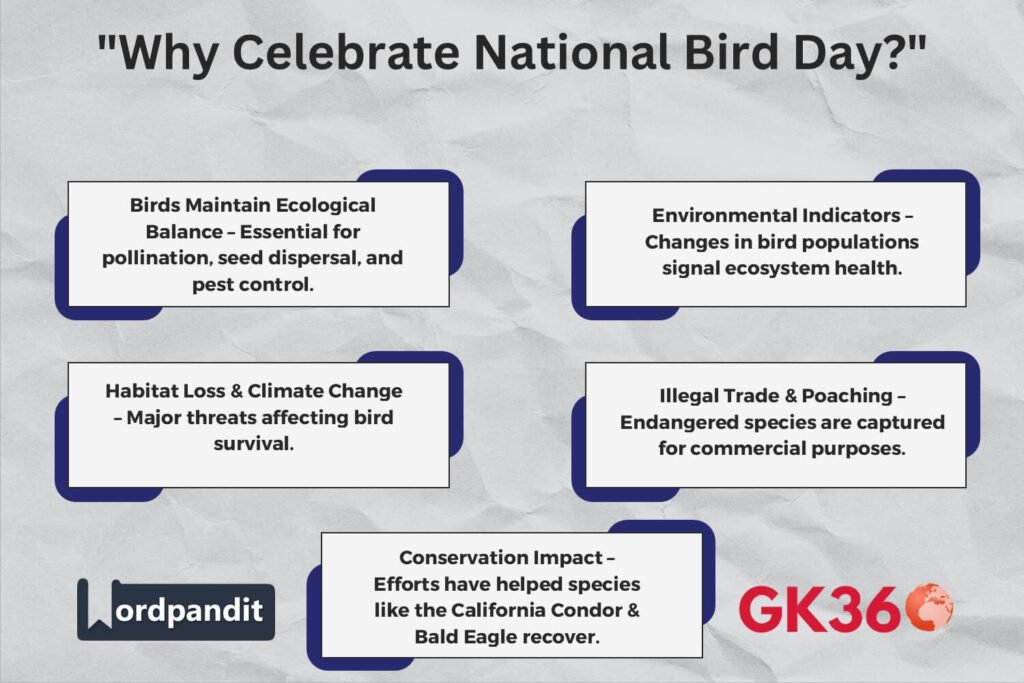 Infographic highlighting the importance of National Bird Day and bird conservation.