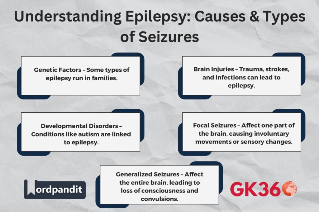 Infographic explaining epilepsy causes and types of seizures