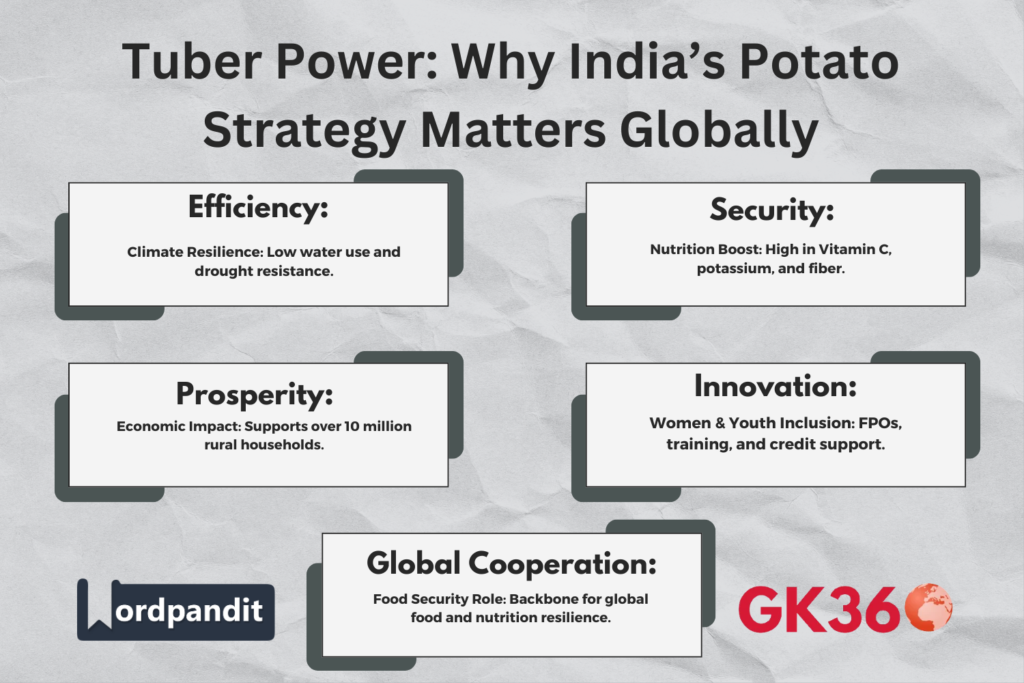 "Benefits of India’s potato revolution across climate, health, and economy."